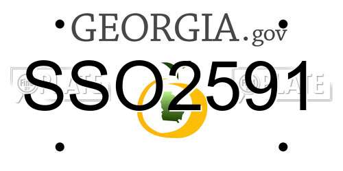 SSO2591 Georgia License Plate