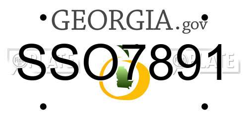 SSO7891 Georgia License Plate