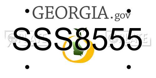 SSS8555 Georgia License Plate