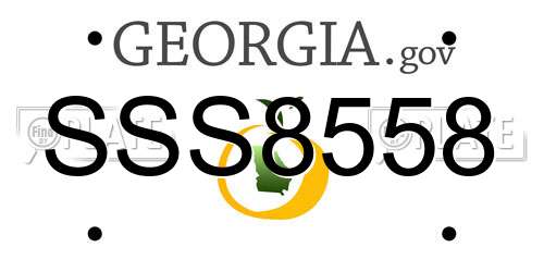 SSS8558 Georgia License Plate