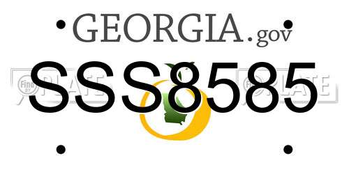 SSS8585 Georgia License Plate