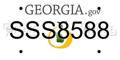 SSS8588 Georgia License Plate