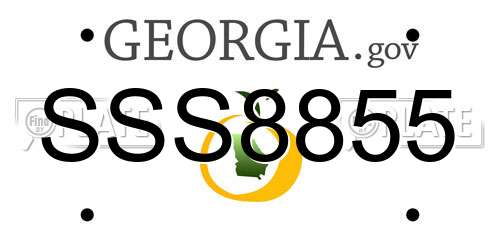 SSS8855 Georgia License Plate
