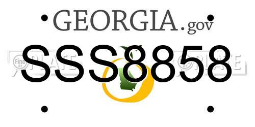SSS8858 Georgia License Plate