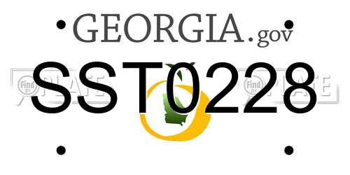 SST0228 Georgia License Plate
