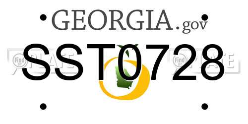 SST0728 Georgia License Plate