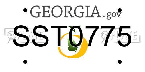 SST0775 Georgia License Plate