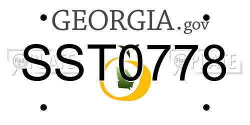 SST0778 Georgia License Plate