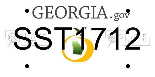 SST1712 Georgia License Plate