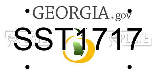 SST1717 Georgia License Plate