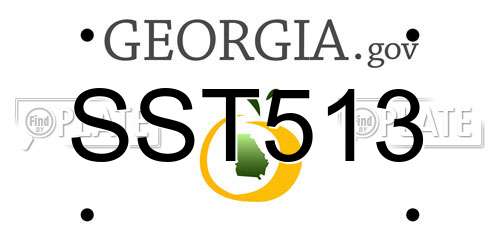 SST513 Georgia License Plate