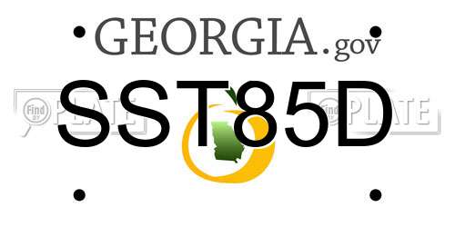 SST85D Georgia License Plate