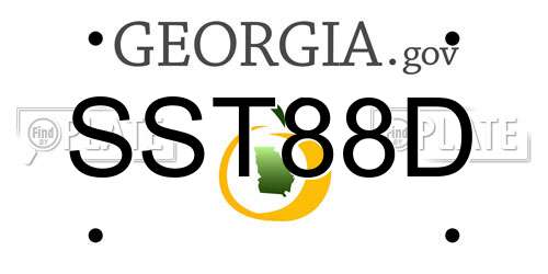 SST88D Georgia License Plate