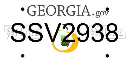 SSV2938 Georgia License Plate
