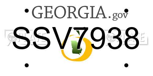 SSV7938 Georgia License Plate