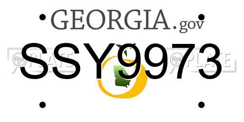 SSY9973 Georgia License Plate