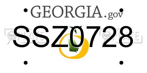 SSZ0728 Georgia License Plate