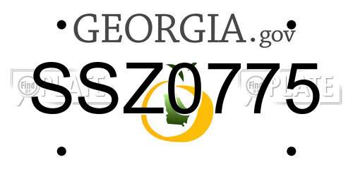 SSZ0775 Georgia License Plate