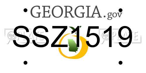 SSZ1519 Georgia License Plate