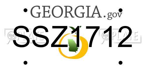 SSZ1712 Georgia License Plate