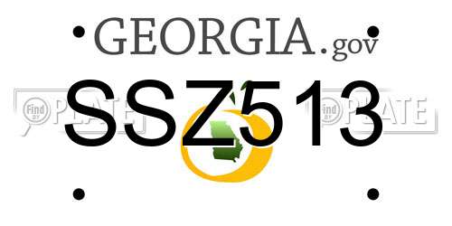 SSZ513 Georgia License Plate