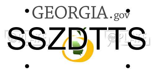 SSZDTTS Georgia License Plate