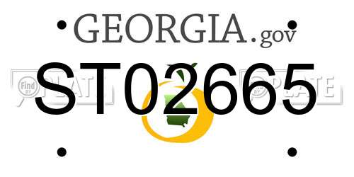 ST02665 Georgia License Plate