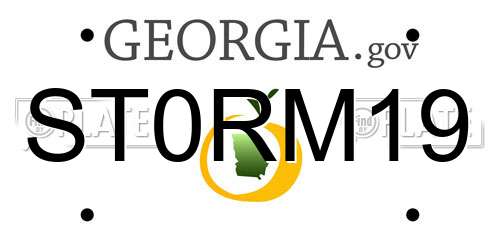 ST0RM19 Georgia License Plate