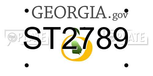 ST2789 Georgia License Plate