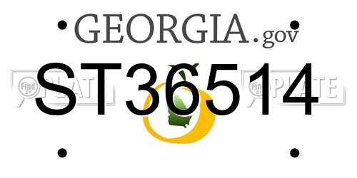 ST36514 Georgia License Plate