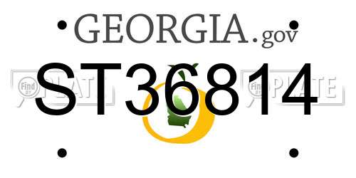 ST36814 Georgia License Plate