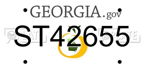 ST42655 Georgia License Plate