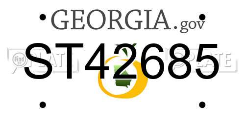 ST42685 Georgia License Plate