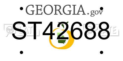 ST42688 Georgia License Plate