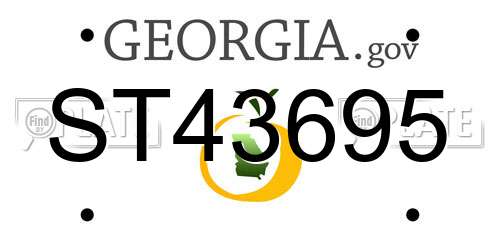 ST43695 Georgia License Plate