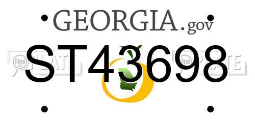 ST43698 Georgia License Plate