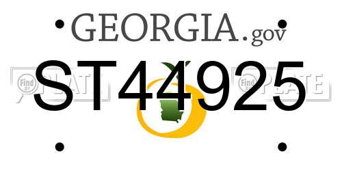 ST44925 Georgia License Plate