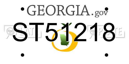 ST51218 Georgia License Plate