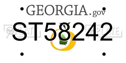 ST58242 Georgia License Plate