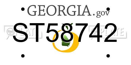 ST58742 Georgia License Plate