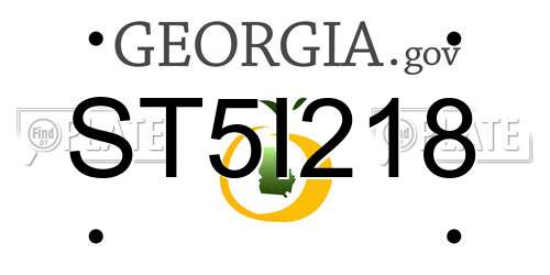 ST5I218 Georgia License Plate