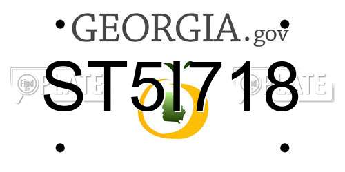 ST5I718 Georgia License Plate