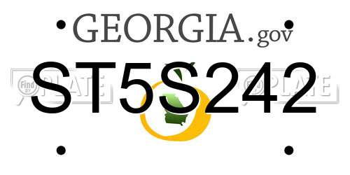 ST5S242 Georgia License Plate
