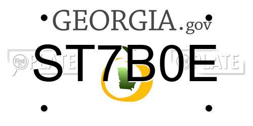 ST7B0E Georgia License Plate