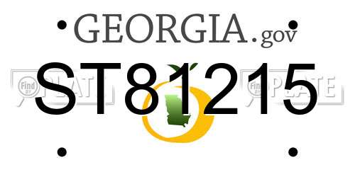 ST81215 Georgia License Plate