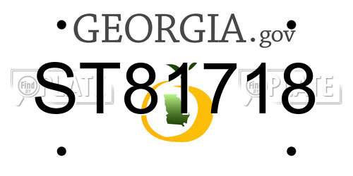 ST81718 Georgia License Plate