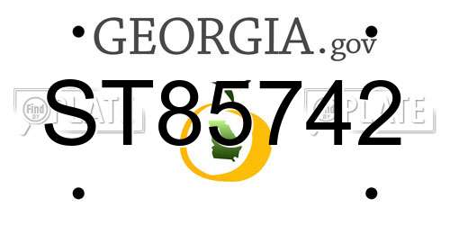 ST85742 Georgia License Plate