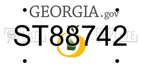 ST88742 Georgia License Plate