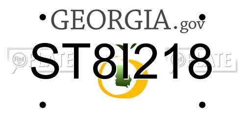 ST8I218 Georgia License Plate