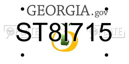 ST8I715 Georgia License Plate